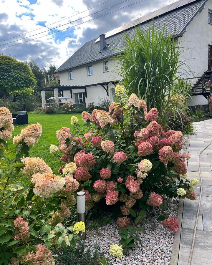 Farm stay Sarnia Polana